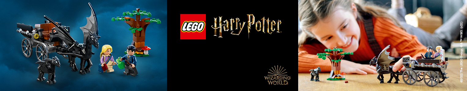 LEGO Harry Potter 1524x300