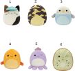 Squishmallows W1B 19cm-6 Σχέδια (JWSQ2741) (1)