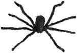 WM Αράχνη Giant 75cm (8263M) (1)