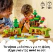 LEGO® DUPLO® Discovery Forest With Wild Animals (10480) (2)