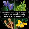LEGO® Botanicals Woodland Mushrooms (11505) (5)