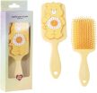Cerda Care Bears Βούρτσα Μαλλιών Adult-4 Σχέδια (2500003660) (2)