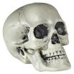 WM Νεκροκεφαλή PVC 21cm (01379) (0)