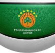 Spalding Μπάλα Μπάσκετ Παναθηναϊκός (85-303Z) (1)