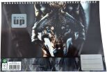 Blue Eye Wolf Μπλοκ Ζωγραφικής Α4 30 Φύλλων (357-33417) (0)