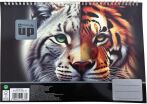 Wild Cats Μπλοκ Ζωγραφικής Α4 30 Φύλλων (357-47417) (0)