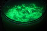 Tuban Σετ Slime Glow In The Dark (TU3144) (4)