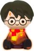 Harry Potter Pocket Night Light (NLJ01HP) (5)