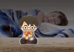 Harry Potter Pocket Night Light (NLJ01HP) (8)