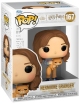 POP!#167 Hermione Granger With Crookshanks-Harry Potter (093261) (1)