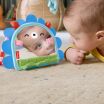 Fisher Price Καθρεφτάκι-Σκαντζοχοιράκι (JHB45) (3)
