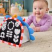 Fisher Price Καθρεφτάκι-Σκαντζοχοιράκι (JHB45) (4)