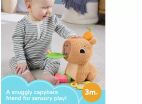 Fisher Price Μαλακό Καπιμπάρα Δραστηριοτήτων (HYR54) (3)