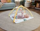 Fisher Price Γυμναστήριο Δραστηριοτήτων-Simply Senses (JMN74) (2)