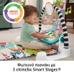 Fisher Price Εκπαιδευτικό Γυμναστήριο-Μουσικό Πιανάκι (HWY55) (4)
