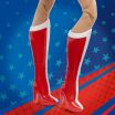Barbie DC Comics Anniversary-Wonder Woman (JBJ36) (4)