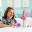 Barbie Malibu Ατελείωτες Περιπέτειες (JMJ47) (5)