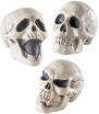 WM Νεκροκεφαλή 12cm-3 Σχέδια (7873S) (0)