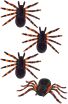 WM Σετ Αράχνες 4Τμχ 7cm (21116) (0)