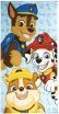 Cerda Paw Patrol Πετσέτα Θαλάσσης (2200010136) (0)
