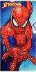Cerda Spiderman Πετσέτα Θαλάσσης (2200010810) (0)