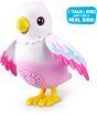 Λαμπάδα Zuru Pets Alive Magic Bird-Polly Series 1 (9561) (6)