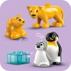 LEGO® Duplo Wild Animal Families: Penguins & Lions (10442) (3)