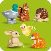LEGO® Duplo Discovery Forest With Wild Animals (10480) (5)