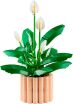 LEGO Botanicals Peace Lily (11504) (1)