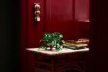 LEGO® Botanicals Hanging Golden Pothos (11512) (7)