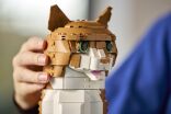 LEGO Ideas Orange Cat (21376) (7)