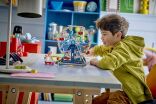 LEGO® Creator 3in1 Iconic Ferris Wheel (31389) (6)