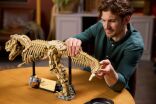 LEGO Jurassic World Dinosaur Fossils: T.Rex (76968) (10)