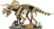 LEGO® Jurassic World Dinosaur Fossils: Triceratops (77985) (1)