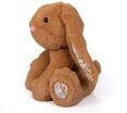 Λούτρινος Λαγός 25cm-4 Χρώματα (21716) (7)