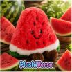 Plushiverse Καρπούζι 16cm (21772) (1)