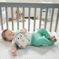 Fisher Price Μαλακό Σκαντζοχοιράκι Με Μουσική Και Δόνηση (FXC58)