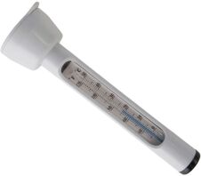 Intex Θερμόμετρο Πισίνας (29039)