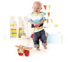 Hape Push & Pull Ξύλινο Butterfly (E0340)