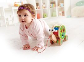 Hape Push & Pull Ξύλινο Συρόμενο Σαλιγκάρι (E0349)