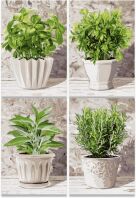 Noris Παζλ 800 Quattro Herbs (606038020)