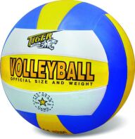 Μπάλα Volley Rubber (315)