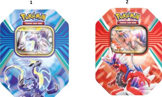 Pokemon:Summer Ex Tin-2 Σχέδια (POK852886)
