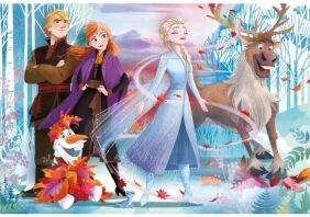 Παζλ 24 Maxi Frozen 2 (1200-28513)