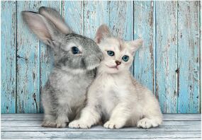 Clementoni Παζλ 500 H.Q. Cat & Bunny (1220-35539)