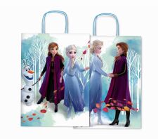 Sadoch Χάρτινη Τσάντα Frozen 26cm (WNA26629D)