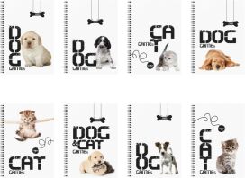 A&G Τετράδιο Cutties Σπιράλ 17x25 2 Θεμάτων 60 Φύλλων -1Τμχ (19794)