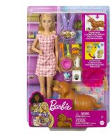 Barbie & Τα Νεογέννητα Κουταβάκια (HCK75)