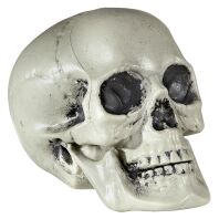 WM Νεκροκεφαλή PVC 21cm (01379)