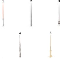 WW Harry Potter Μαγικά Ραβδιά-5 Σχέδια (6061848)